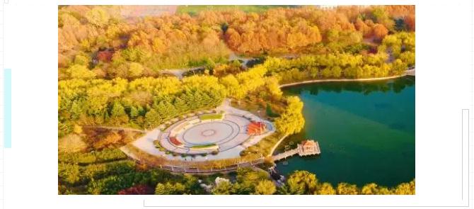 齐鲁工业大学2019年全国成人高等教育招生简章