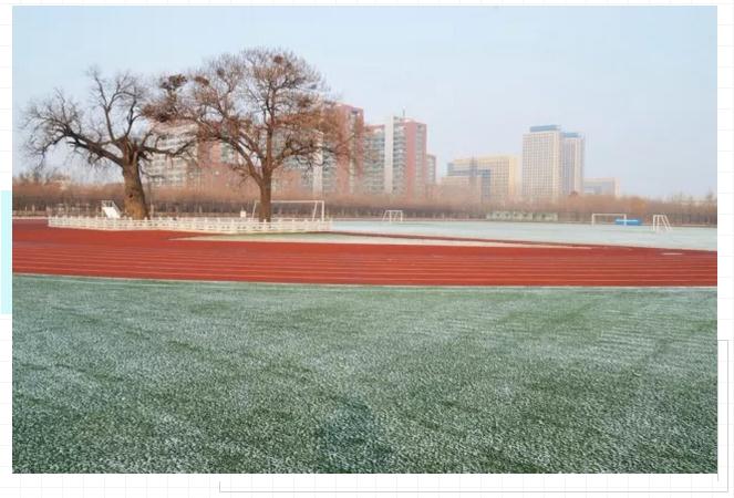山东女子学院2019年全国成人高等教育招生简章